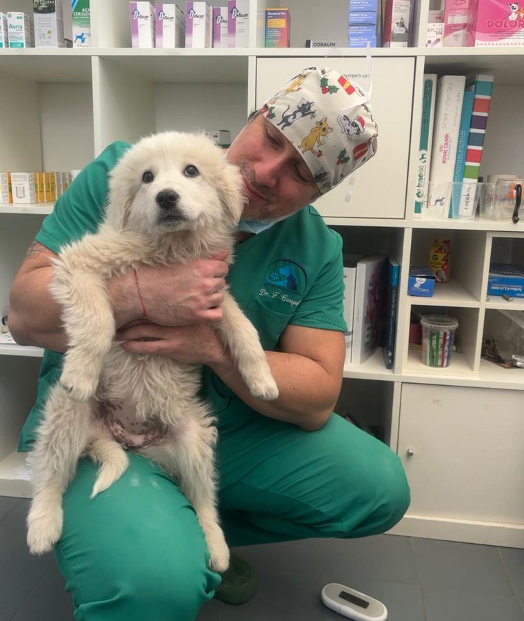 Il dott. Federico Casapollo con un cucciolo in braccio