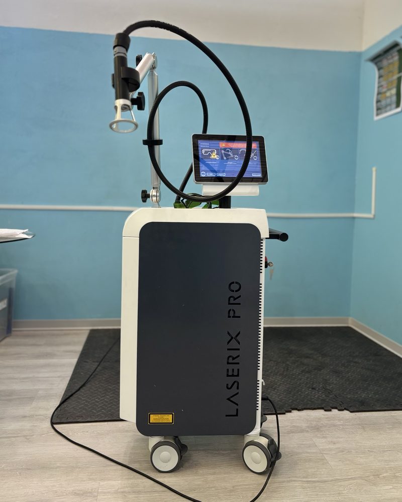 Il laser Laserix Pro nella sala di fisioterapia del Centro Veterinario Anzola