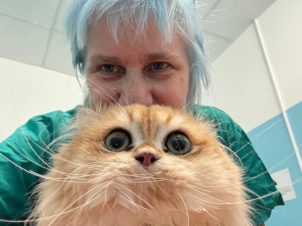 La dott.ssa Veronica Degli Amori con un gatto british longhair