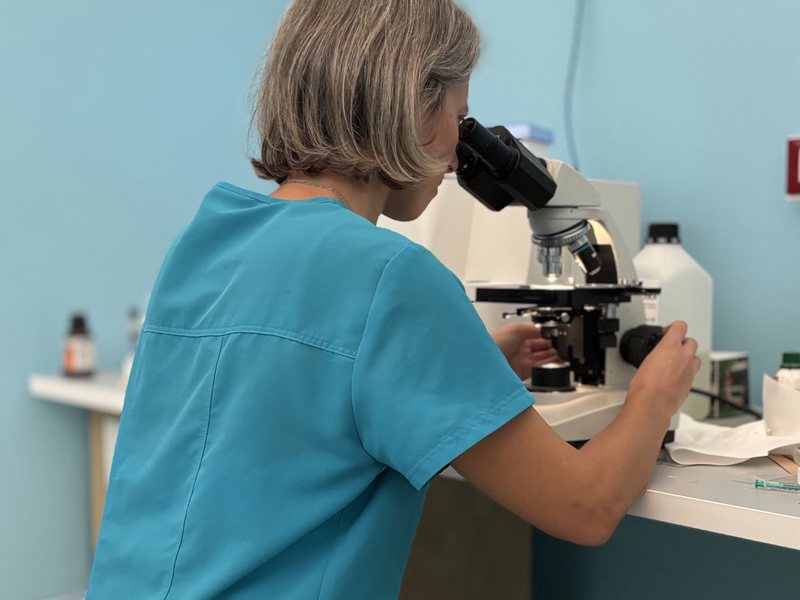 Una veterinaria al microscopio nel laboratorio del Centro