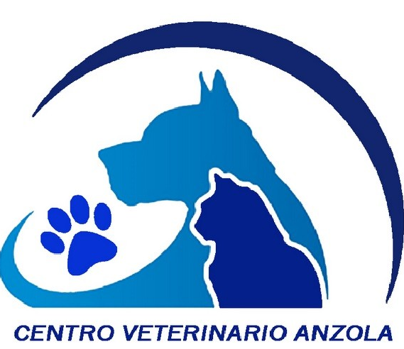 veterinario anzola